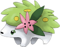 Shaymin